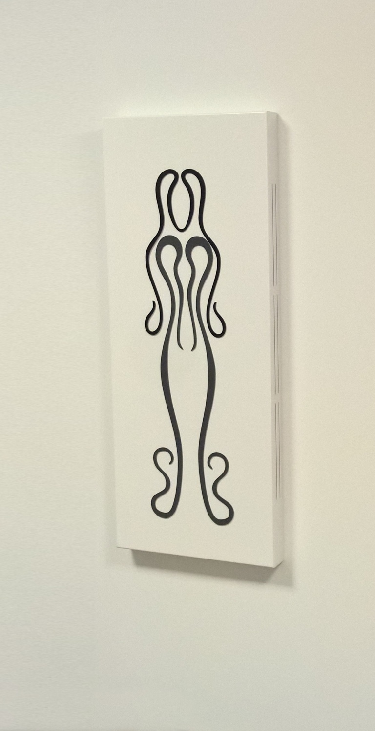 WP_20170307_16_40_28_Pro 1